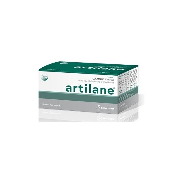 ARTILANE 15 AMP
