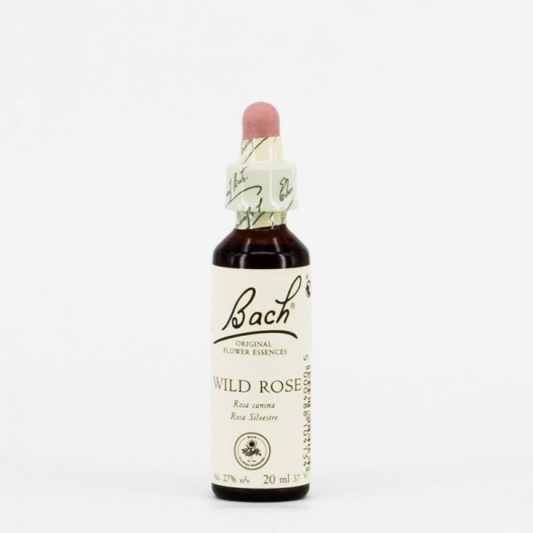 FLORES BACH  37 WILD ROSE-ROSA SILVESTRE 20 ml
