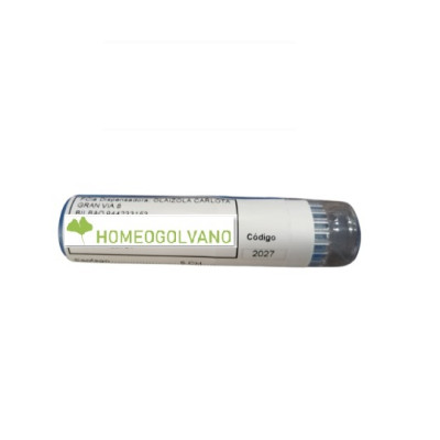 GRAFENO OXIDO 6CH