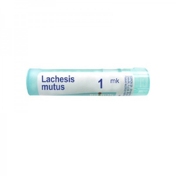 LACHESIS MUTUS GR MK BOIRON