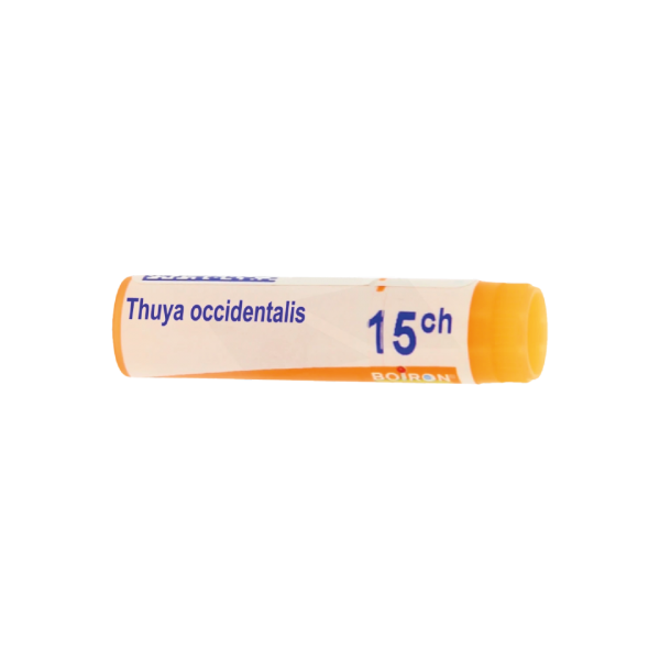 THUYA OCCIDENTALIS GR 15CH BOIRON