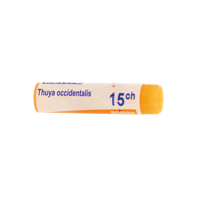 THUYA OCCIDENTALIS DO...
