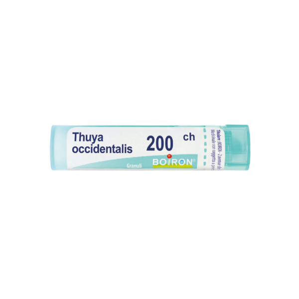 THUYA OCCIDENTALIS GR 200CH BOIRON