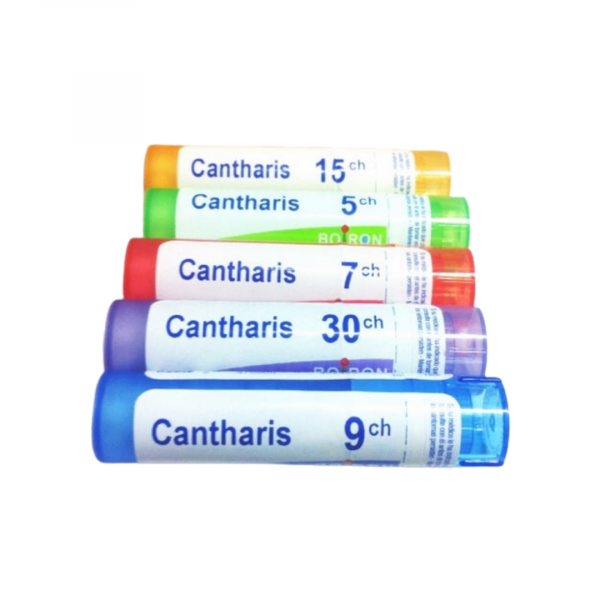 CANTHARIS GR 30CH BOIRON