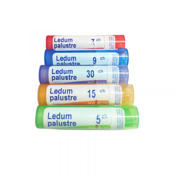 LEDUM PALUSTRE GR 5CH BOIRON
