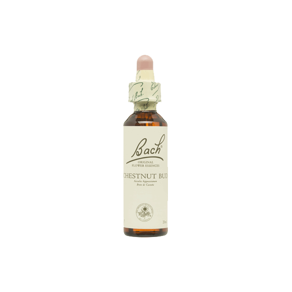 FLORES BACH WHITE CHESTNUT-CASTAÑO DE INDIAS 20