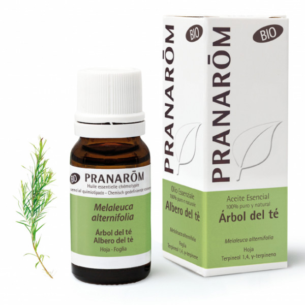 ACEITE ESENCIAL ÁRBOL DEL TE BIO 10 ml